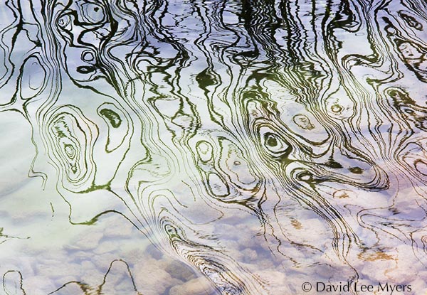 Squiggly reflections of rushes in Deep Lake at Sun Lakes State Park, Washington.