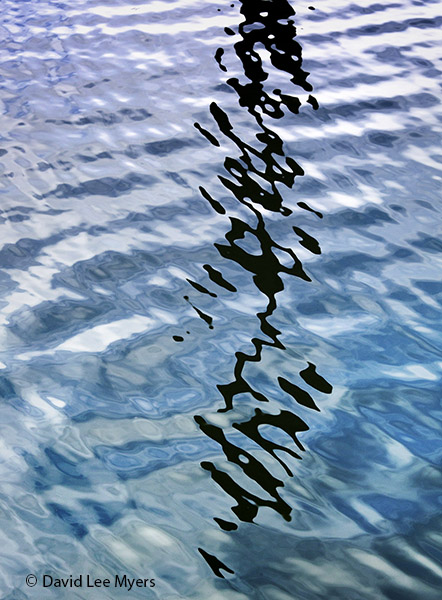 Reflected piling at the Port of Ilwaco, Washington.