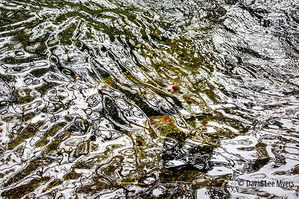 Reflections in the Metolius River, Camp Sherman, Oregon.