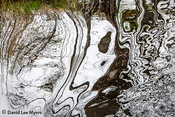 Okefenokee Swamp, reflections, Suwanee Canal, Georgia.